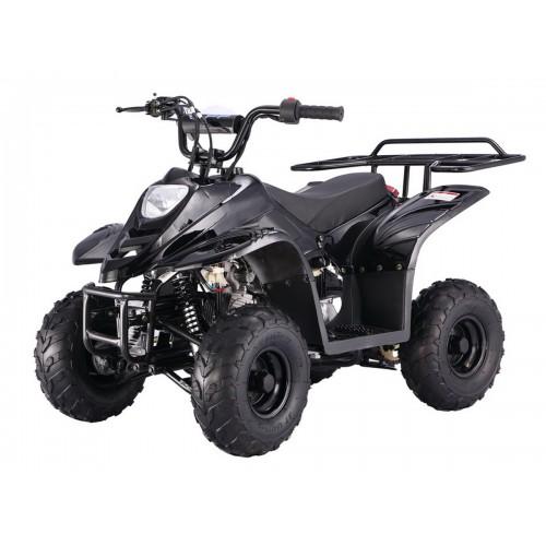 TaoMotor B1 Boulder 110cc ATV
