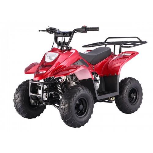 TaoMotor B1 Boulder 110cc ATV