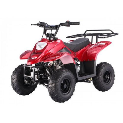 TaoMotor B1 Boulder 110cc ATV
