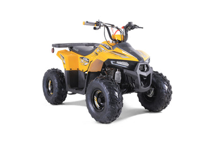 Taomotor 2022 Mudhawk 6 110cc ATV