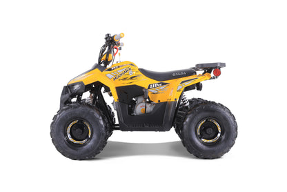 Taomotor 2022 Mudhawk 6 110cc ATV