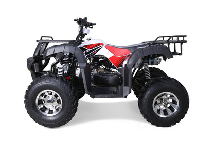 Tao Motor Bull 200