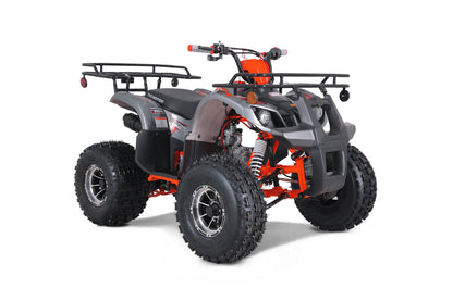 TaoMotor TForce Platinum