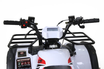 Tao Motor Bull 200